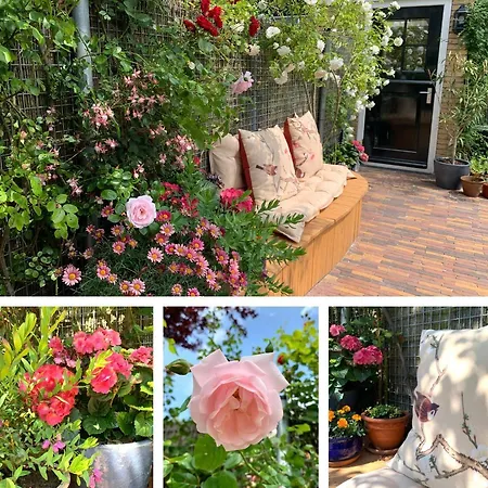 Vakantiehuis Dream House Heiloo
